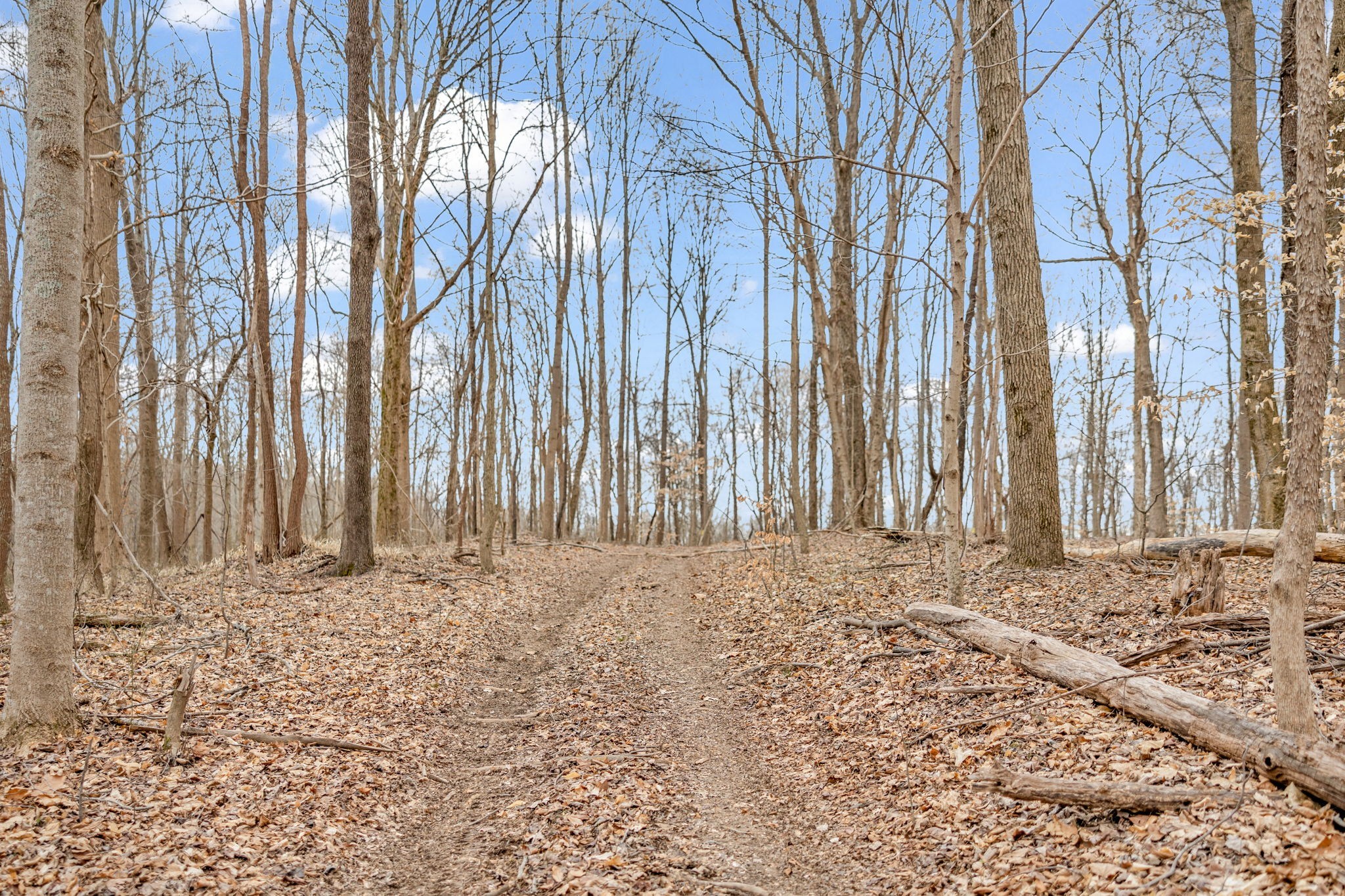 811 Clay Lick Ct Property Photo 48