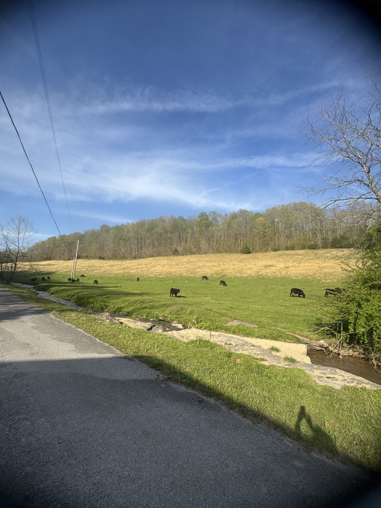 0 Tillman Hollow Road Property Photo