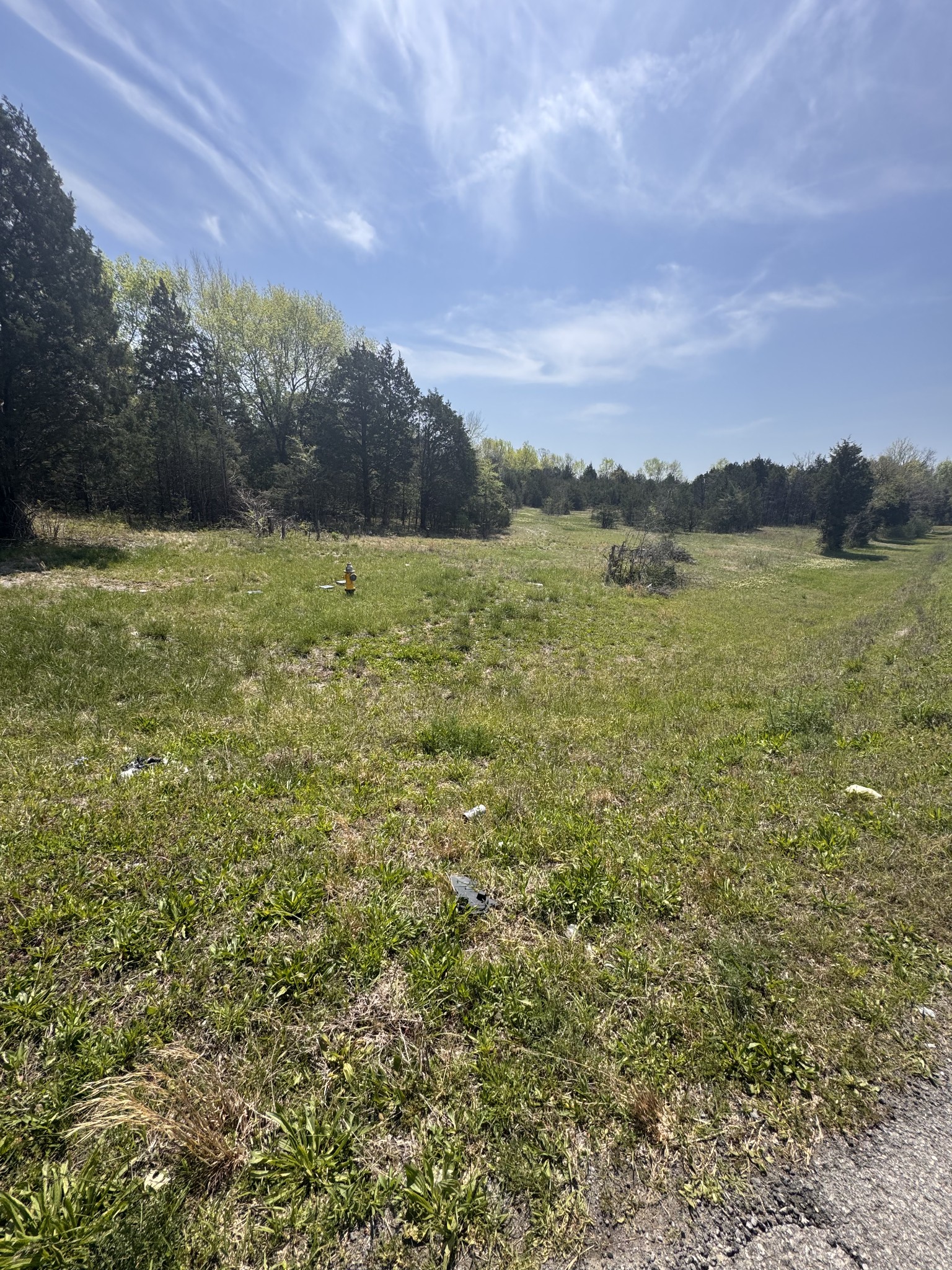 0 Lebanon Pike Property Photo 1