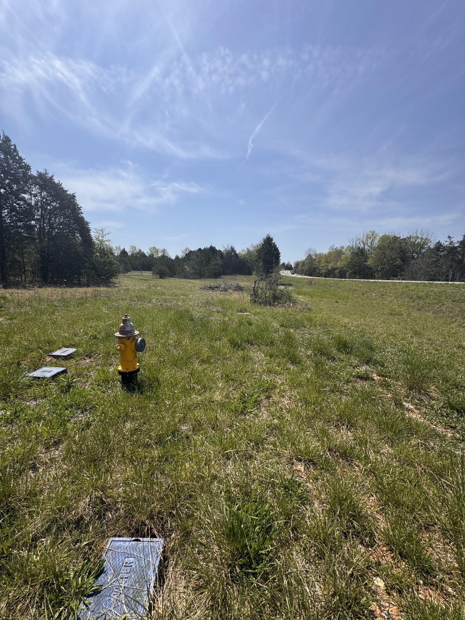 0 Lebanon Pike Property Photo 3