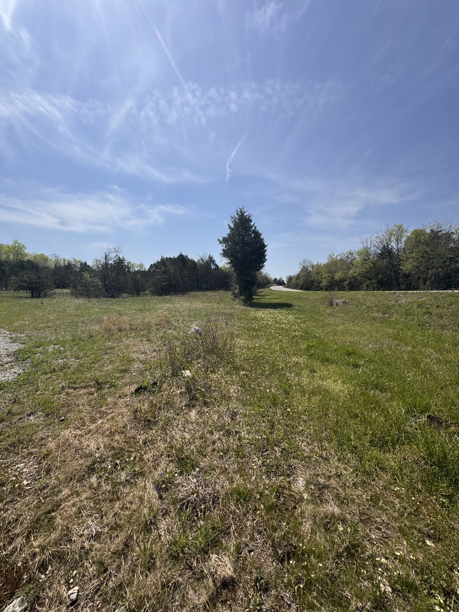 0 Lebanon Pike Property Photo 6