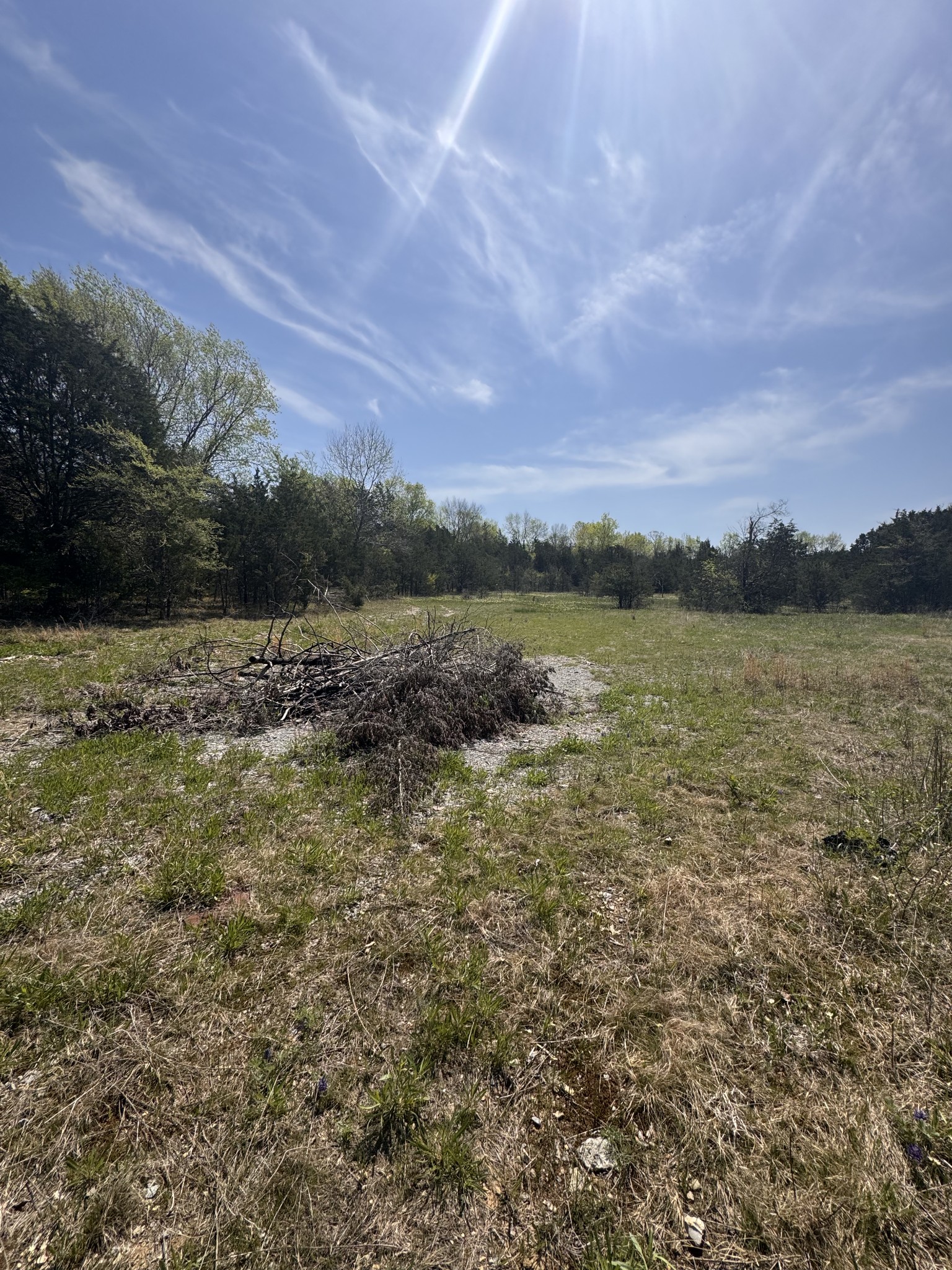 0 Lebanon Pike Property Photo 7