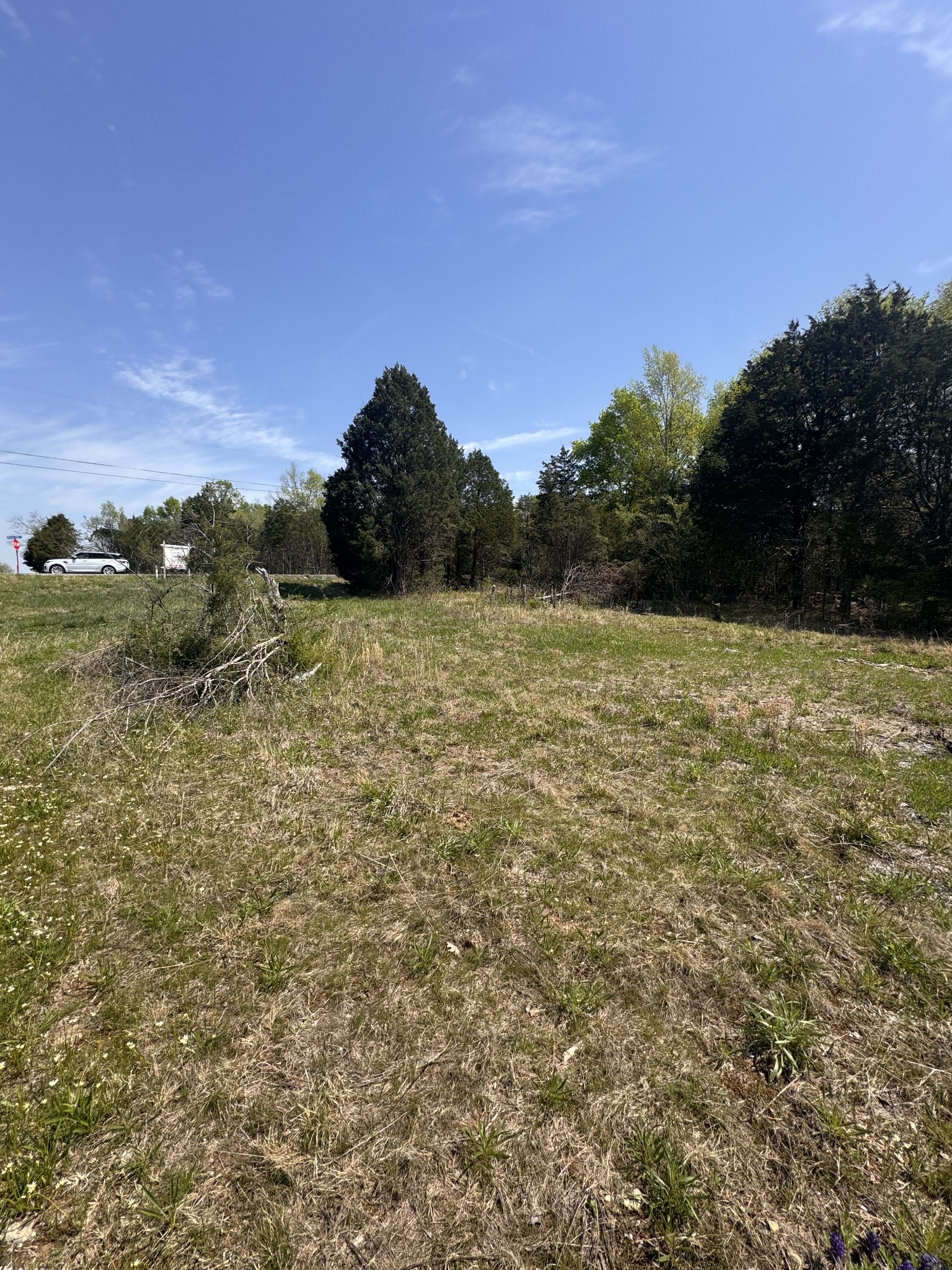 0 Lebanon Pike Property Photo 8