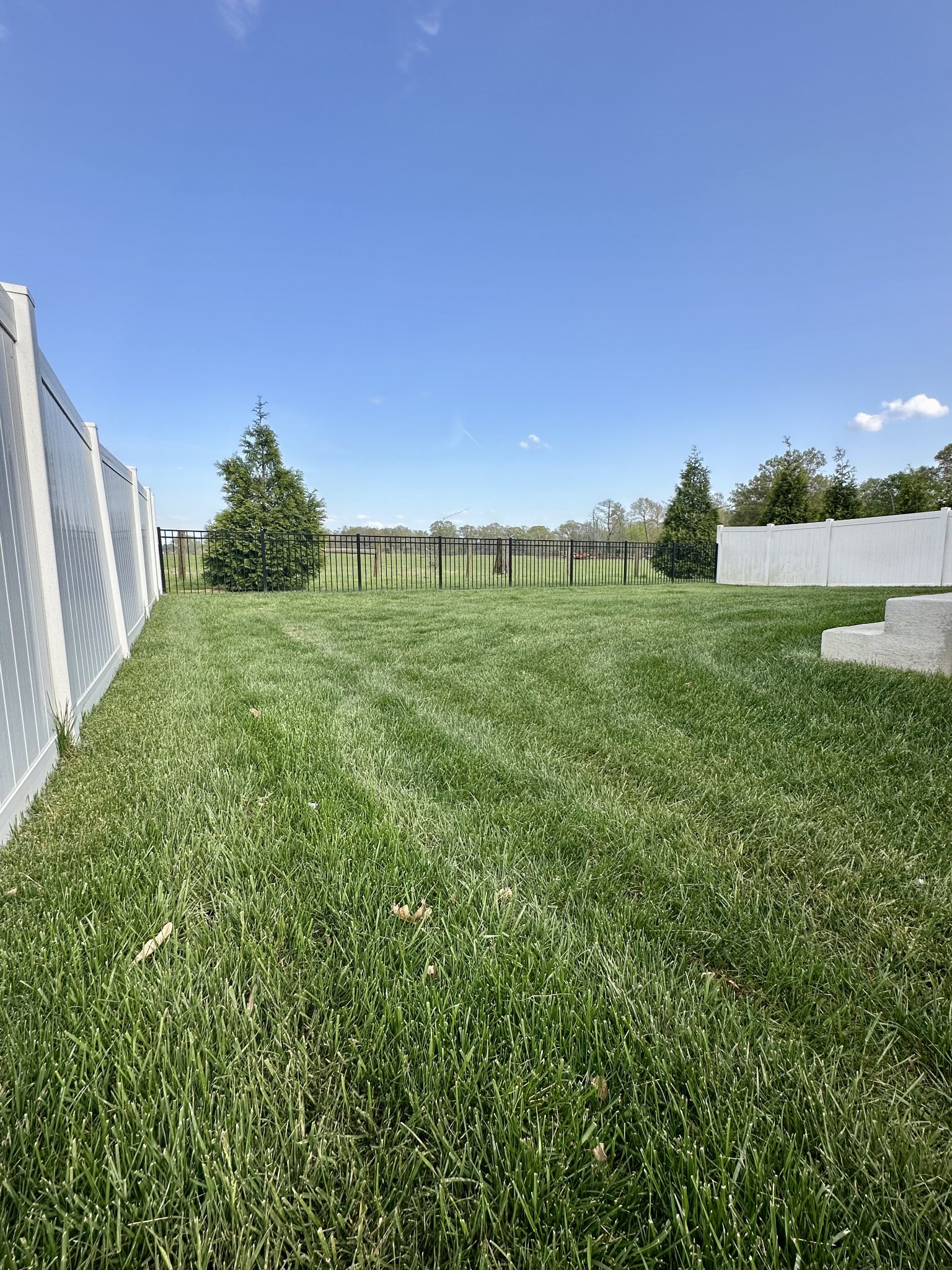 1049 Veridian Dr Property Photo 29