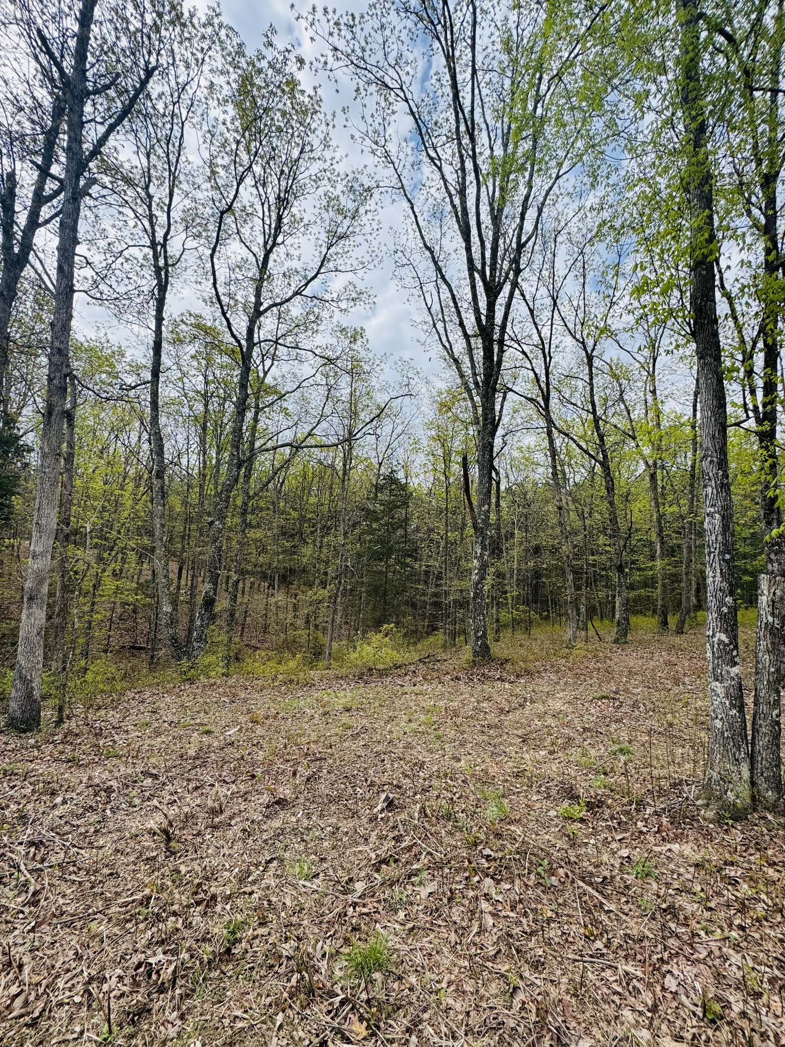 0 Richland Harbor Rd Property Photo 12