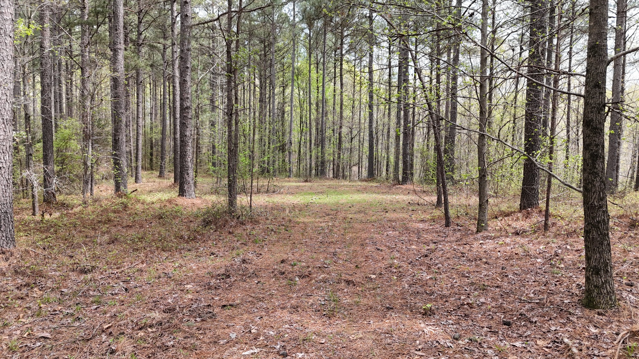 0 Richland Harbor Rd Property Photo 1