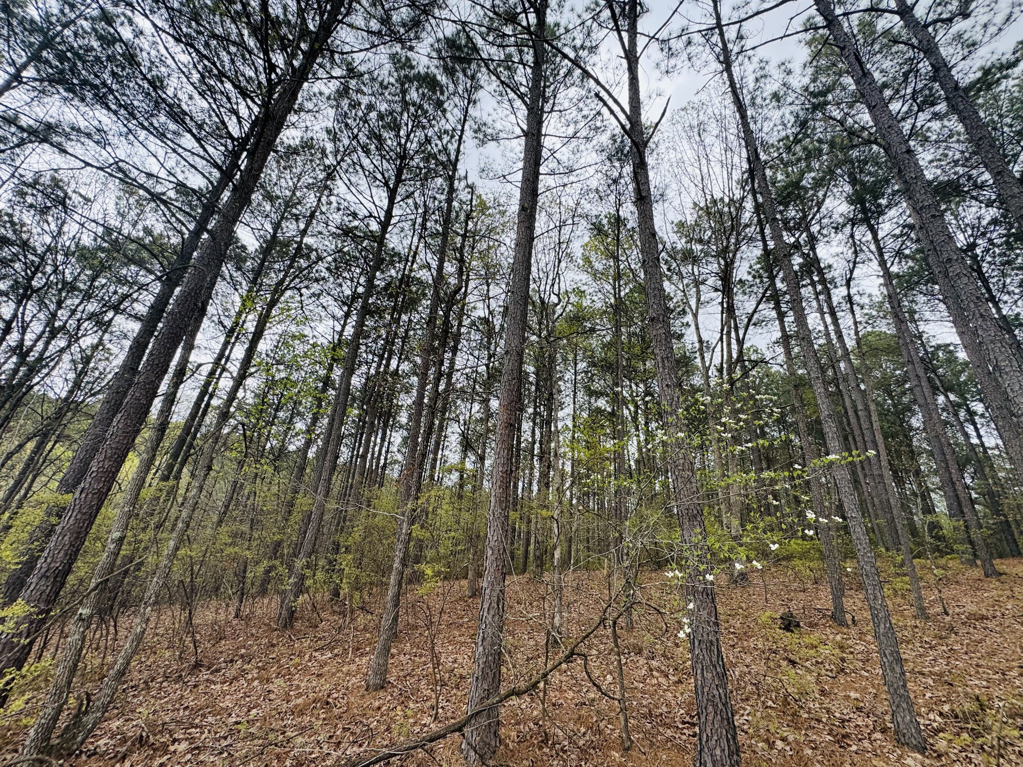 0 Richland Harbor Rd Property Photo 12