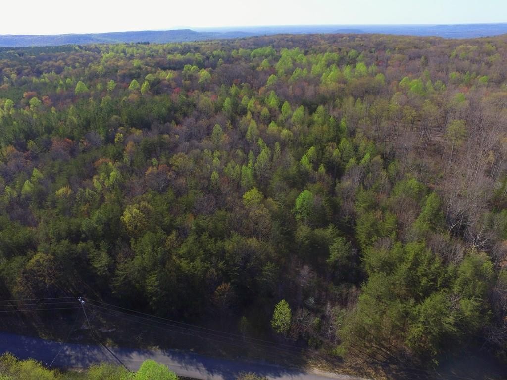 0 Hillis Cemetery Road Property Photo