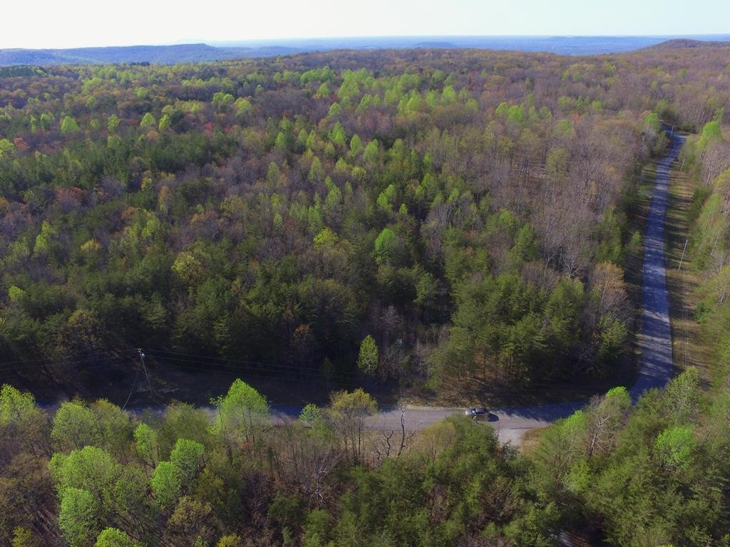 0 Hillis Cemetery Road Property Photo 2