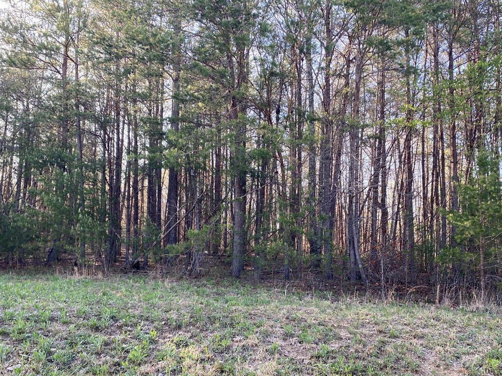 0 Hillis Cemetery Road Property Photo 3