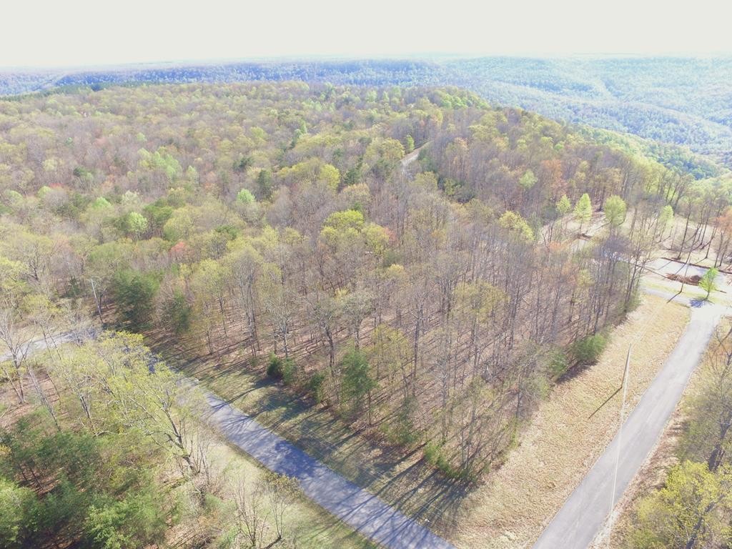 291 Mustang Drive Property Photo 2