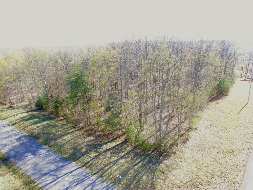 291 Mustang Drive Property Photo 5