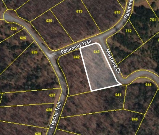 291 Mustang Drive Property Photo 9