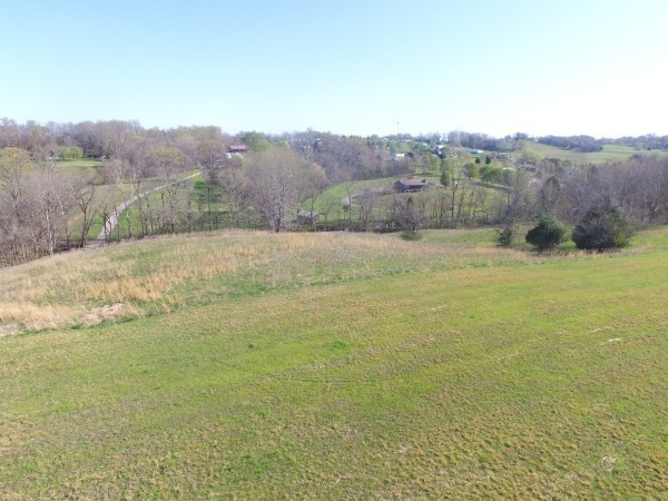 965 N Dickerson Chapel Rd Property Photo 4