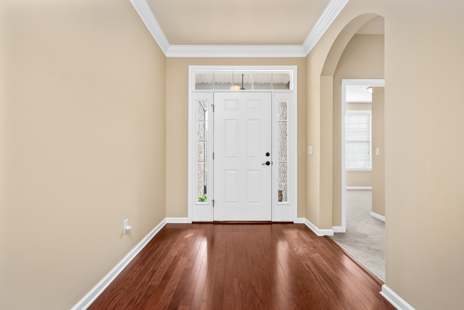 1841 Looking Glass Ln Property Photo 4