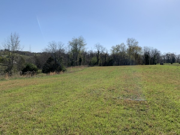 743 N Dickerson Chapel Rd Property Photo 3