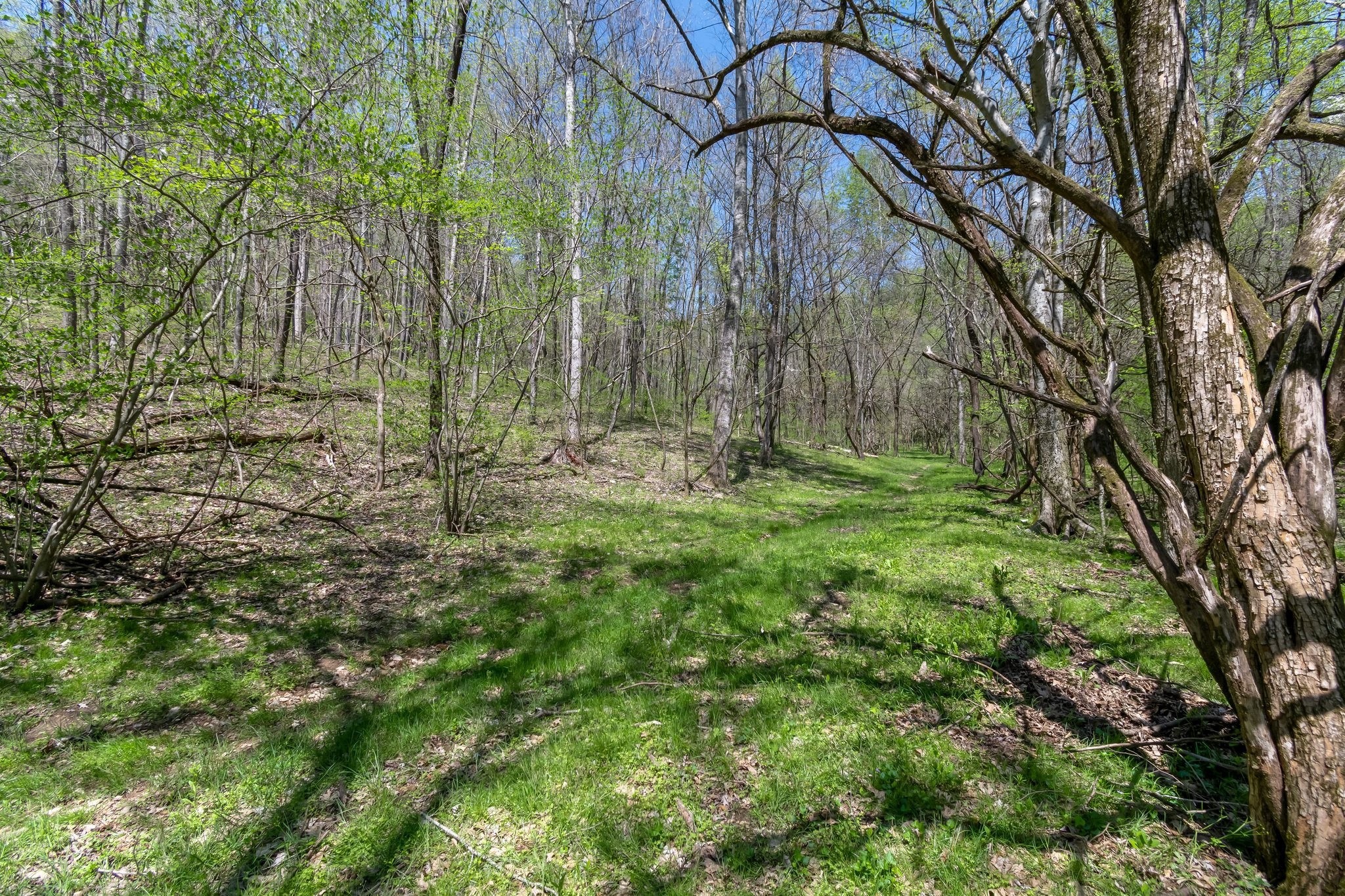 2819 Yell Rd Property Photo 51