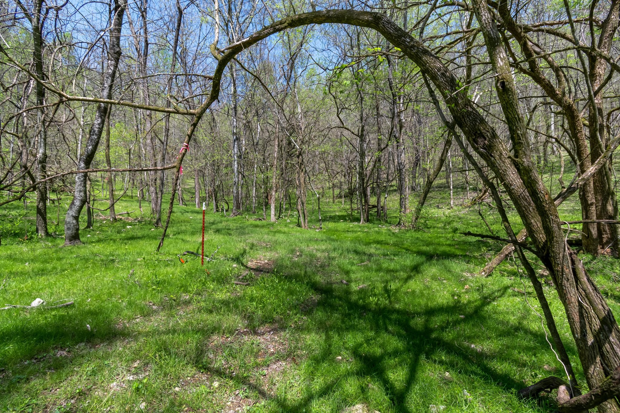 2819 Yell Rd Property Photo 52