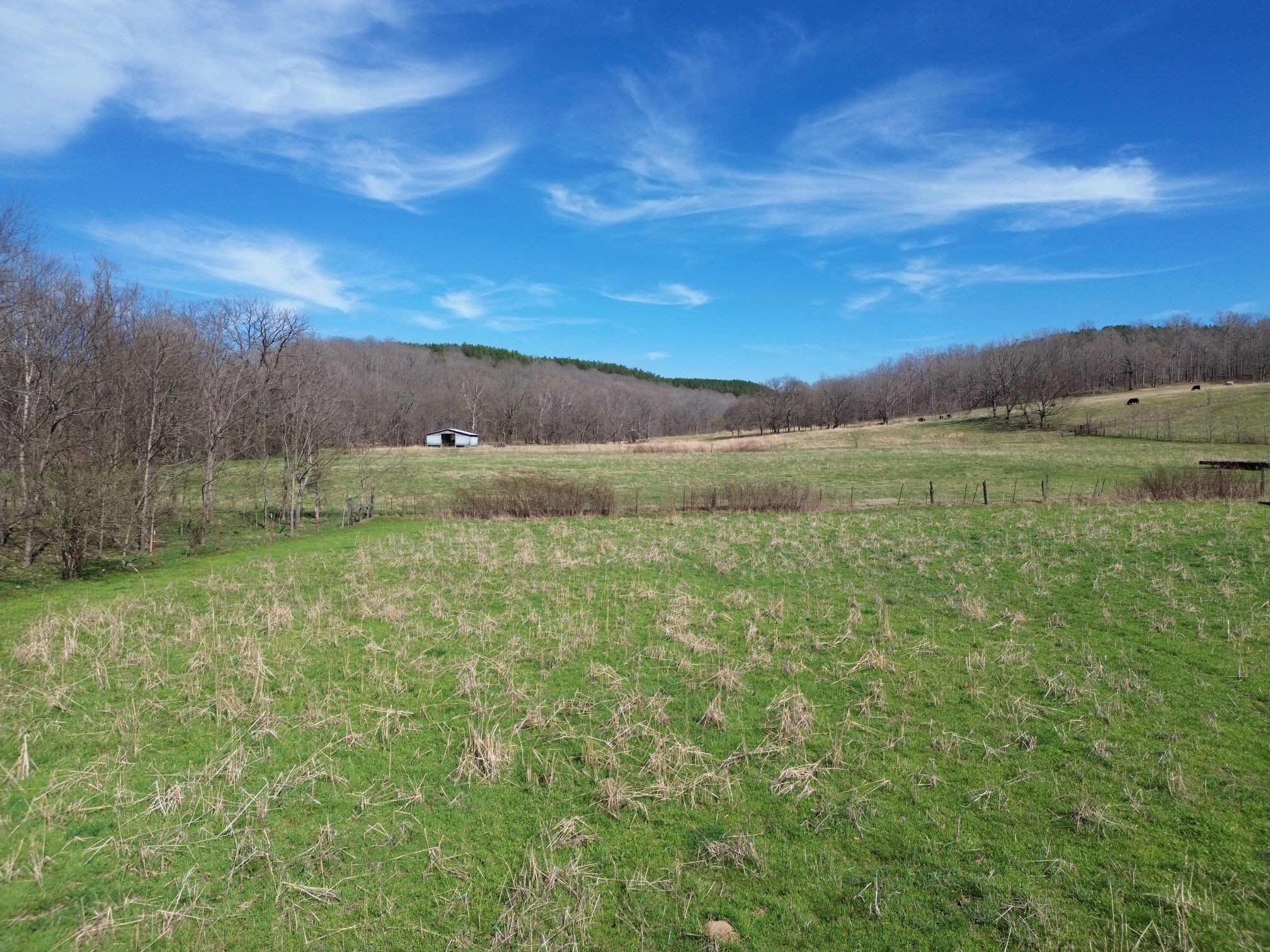 295 Hwy 48, S Property Photo