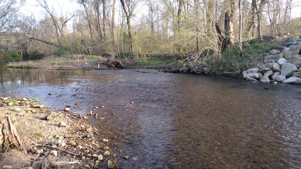 295 Hwy 48, S Property Photo 5