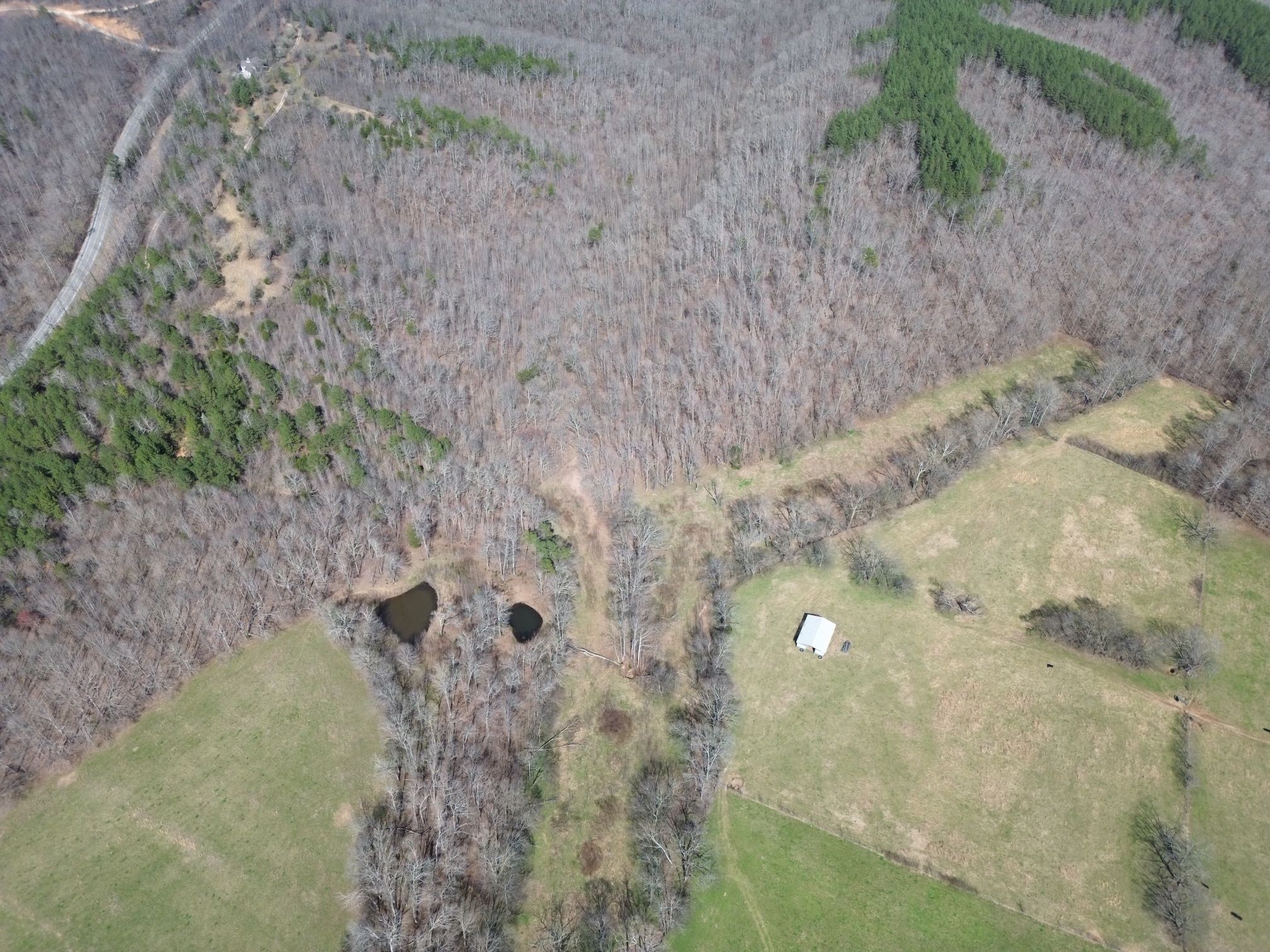 295 Hwy 48, S Property Photo 10