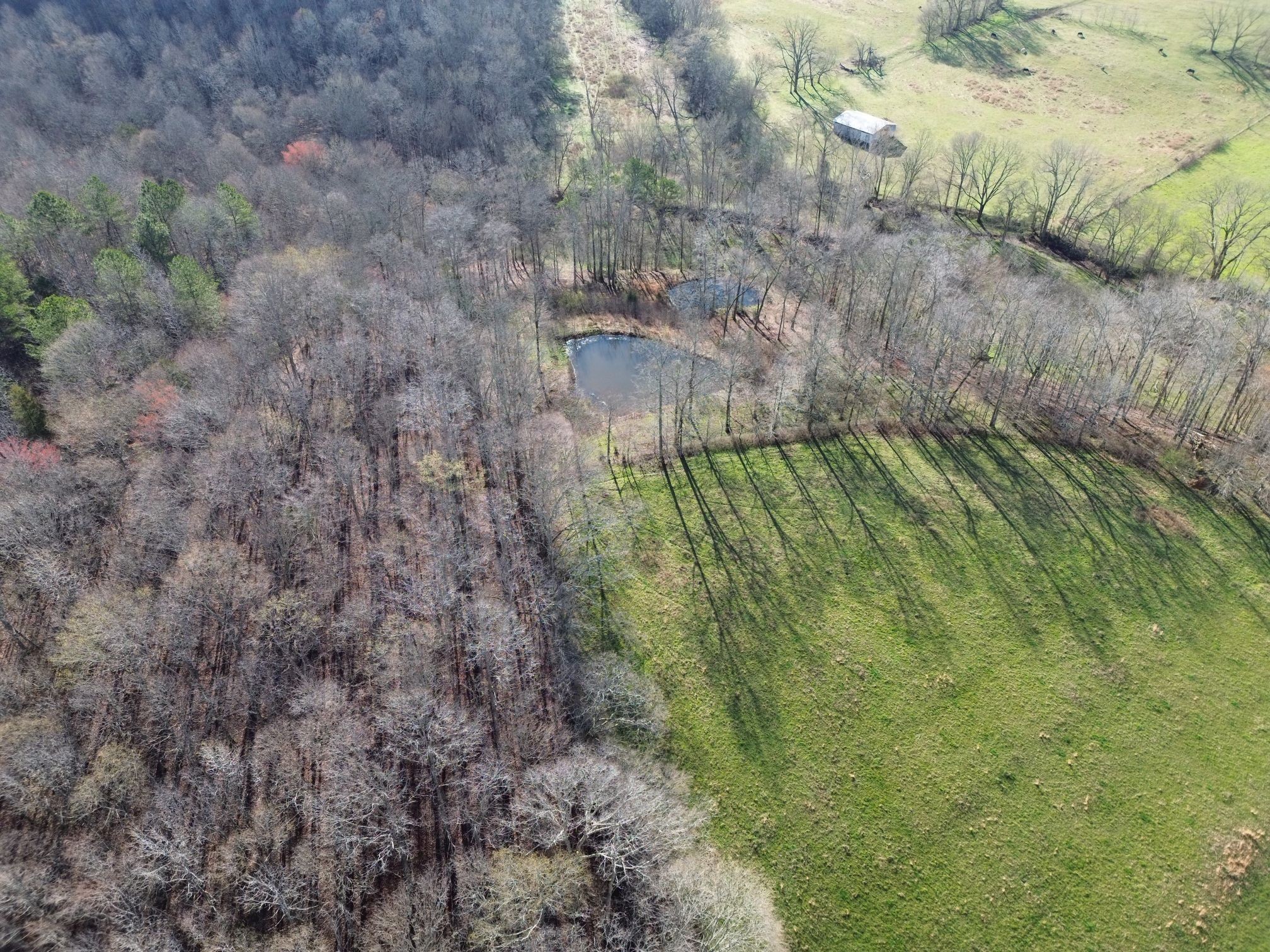 295 Hwy 48, S Property Photo 13