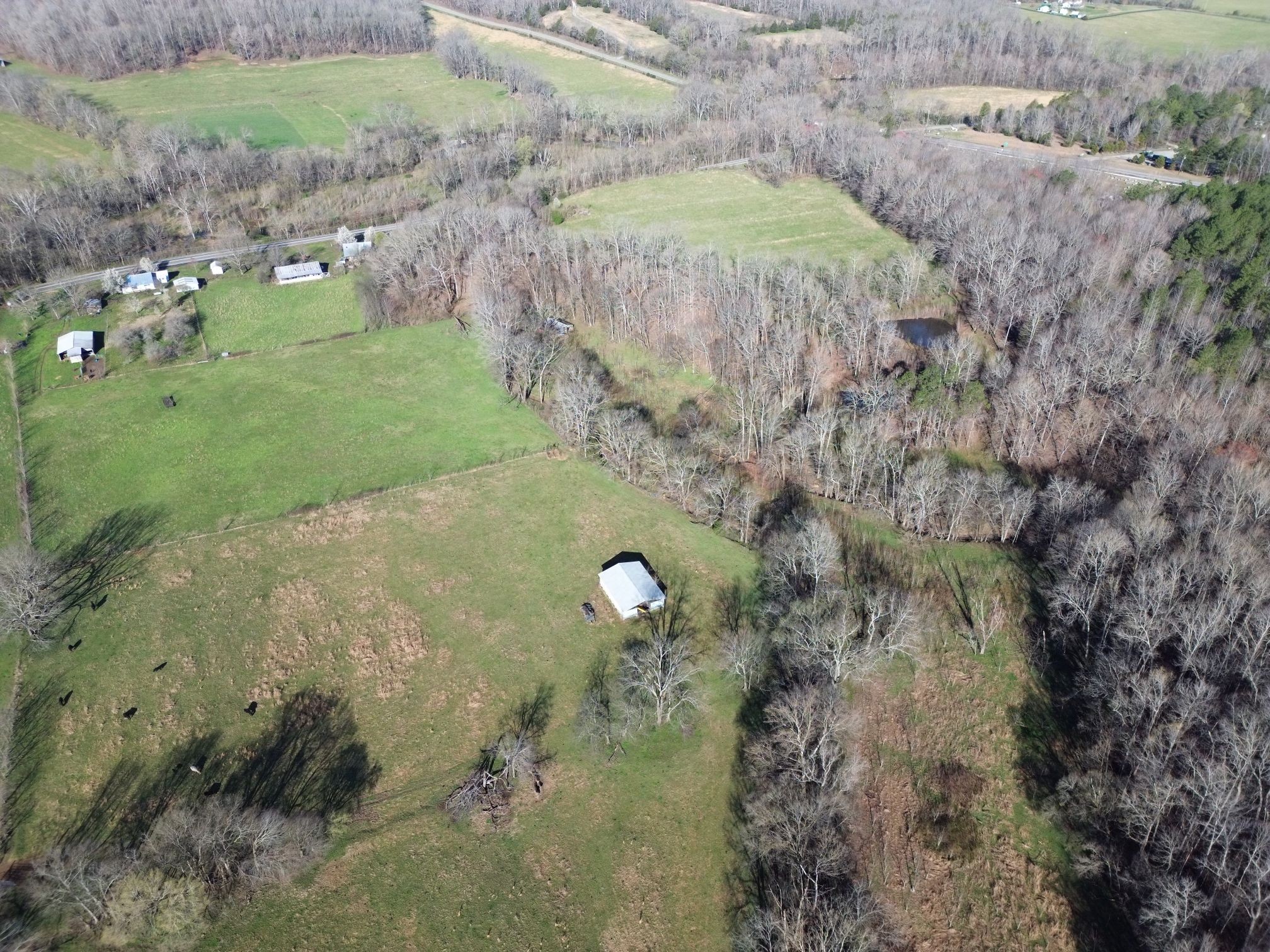 295 Hwy 48, S Property Photo 14