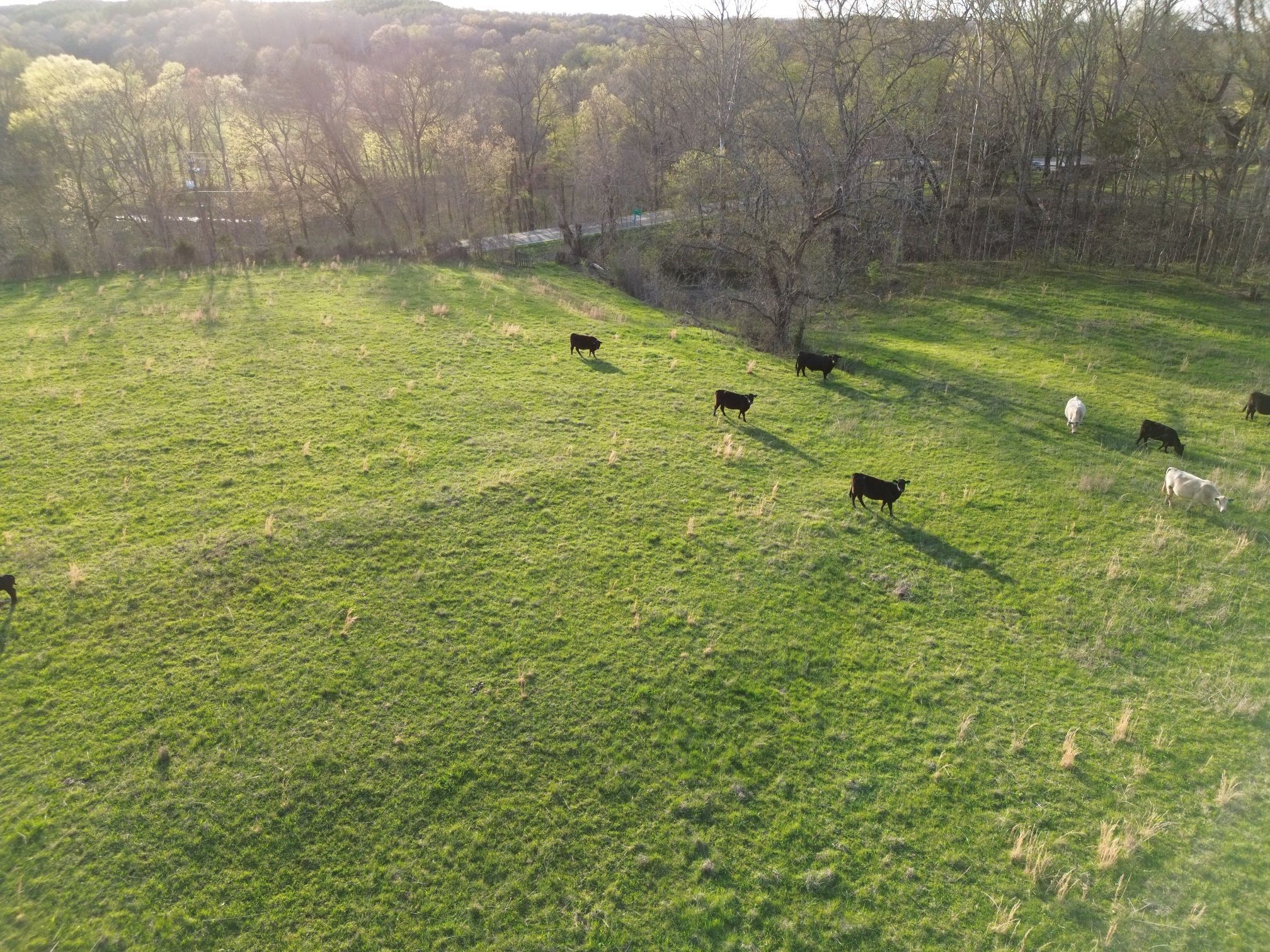 295 Hwy 48, S Property Photo 16