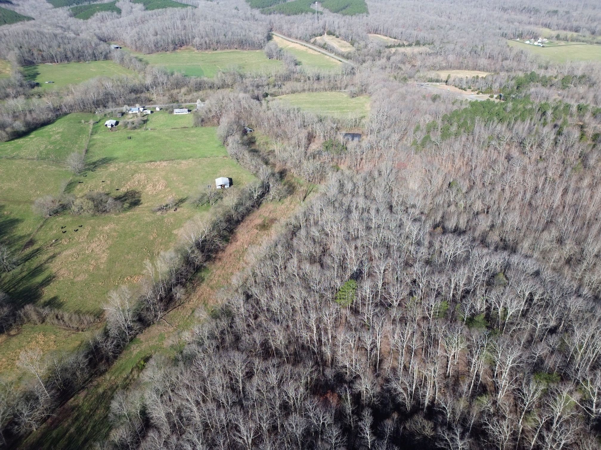 295 Hwy 48, S Property Photo 17