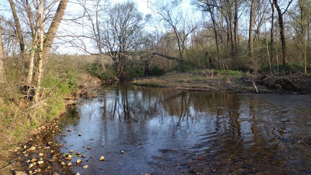 295 Hwy 48, S Property Photo 22