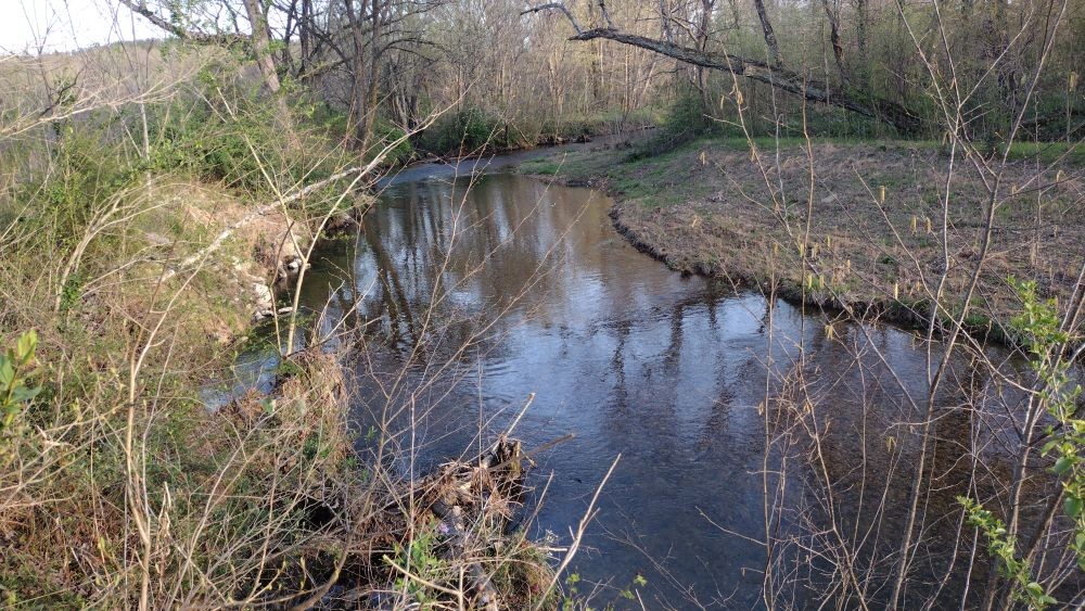 295 Hwy 48, S Property Photo 23