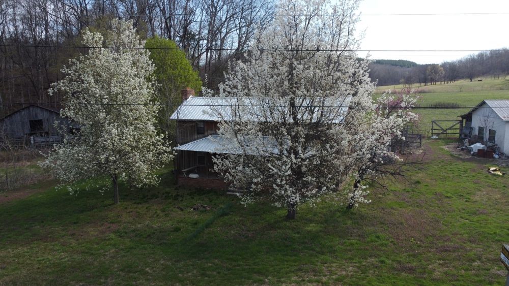 295 Hwy 48, S Property Photo 25