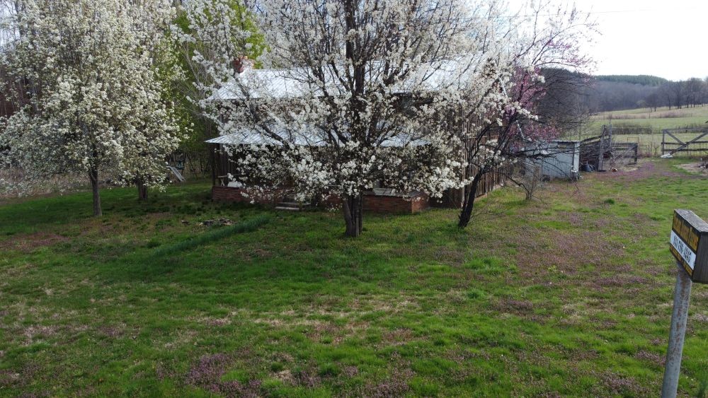 295 Hwy 48, S Property Photo 26