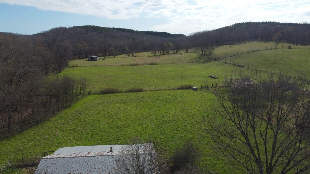 295 Hwy 48, S Property Photo 28