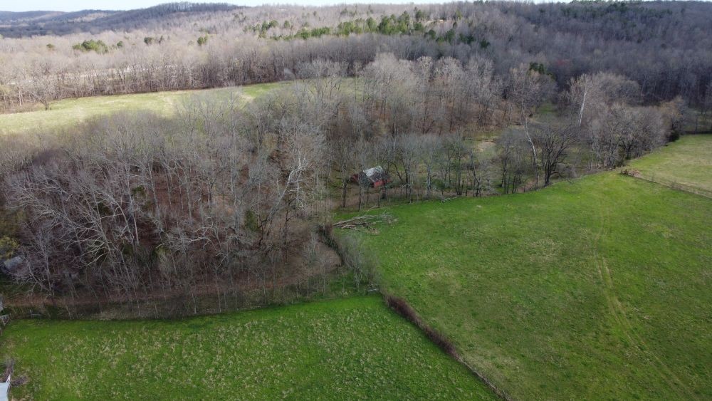 295 Hwy 48, S Property Photo 31