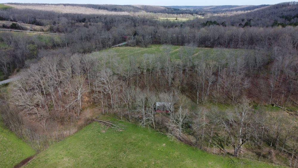 295 Hwy 48, S Property Photo 34
