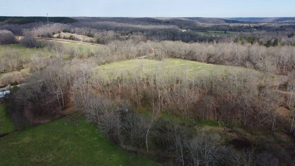295 Hwy 48, S Property Photo 38