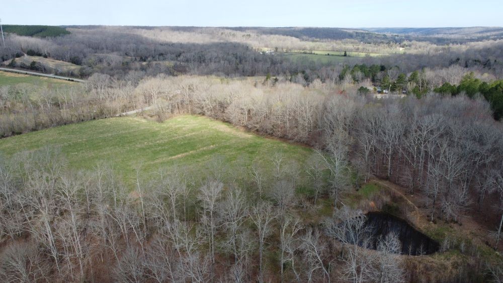 295 Hwy 48, S Property Photo 41