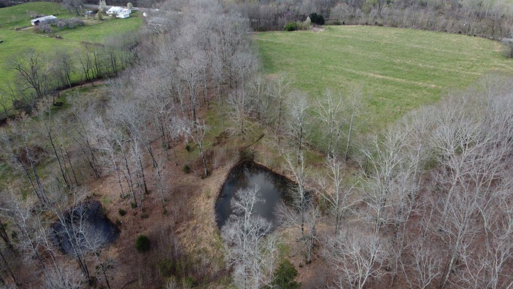 295 Hwy 48, S Property Photo 44