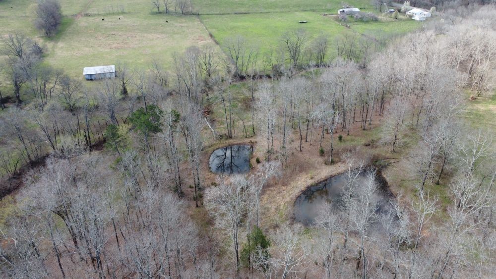 295 Hwy 48, S Property Photo 45