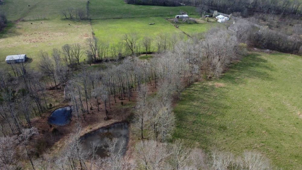 295 Hwy 48, S Property Photo 46