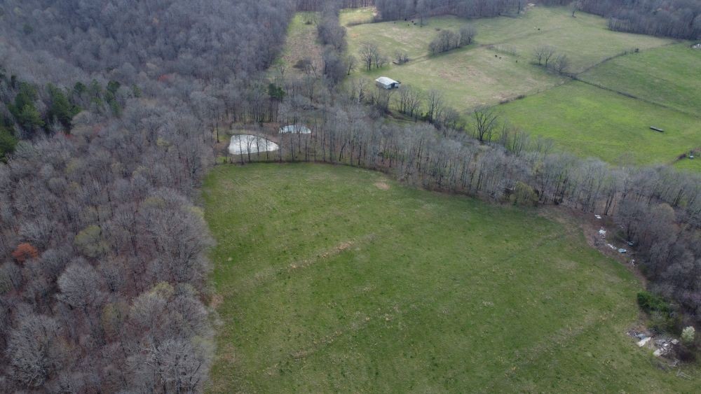 295 Hwy 48, S Property Photo 49
