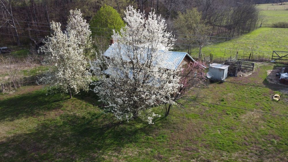 295 Hwy 48, S Property Photo 69