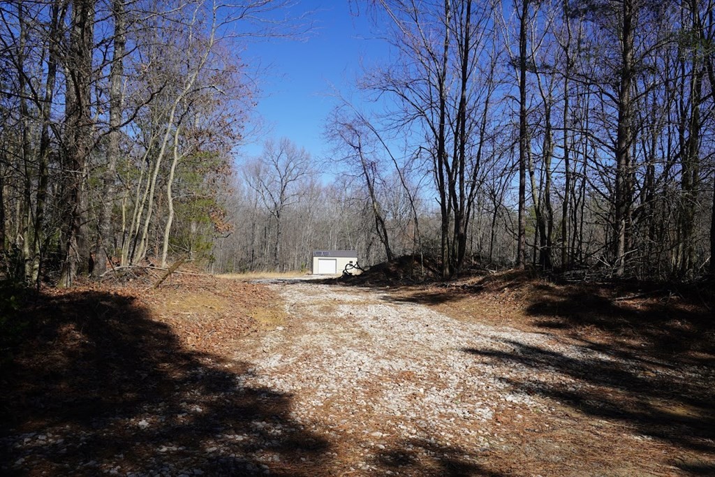 0 Lone Wolf Trail Property Photo 7