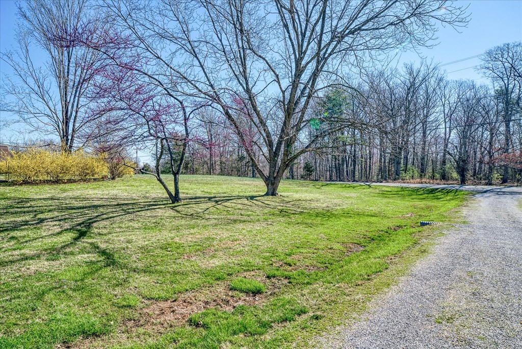 615 Lemont And Yates Mountain Rd Property Photo 34