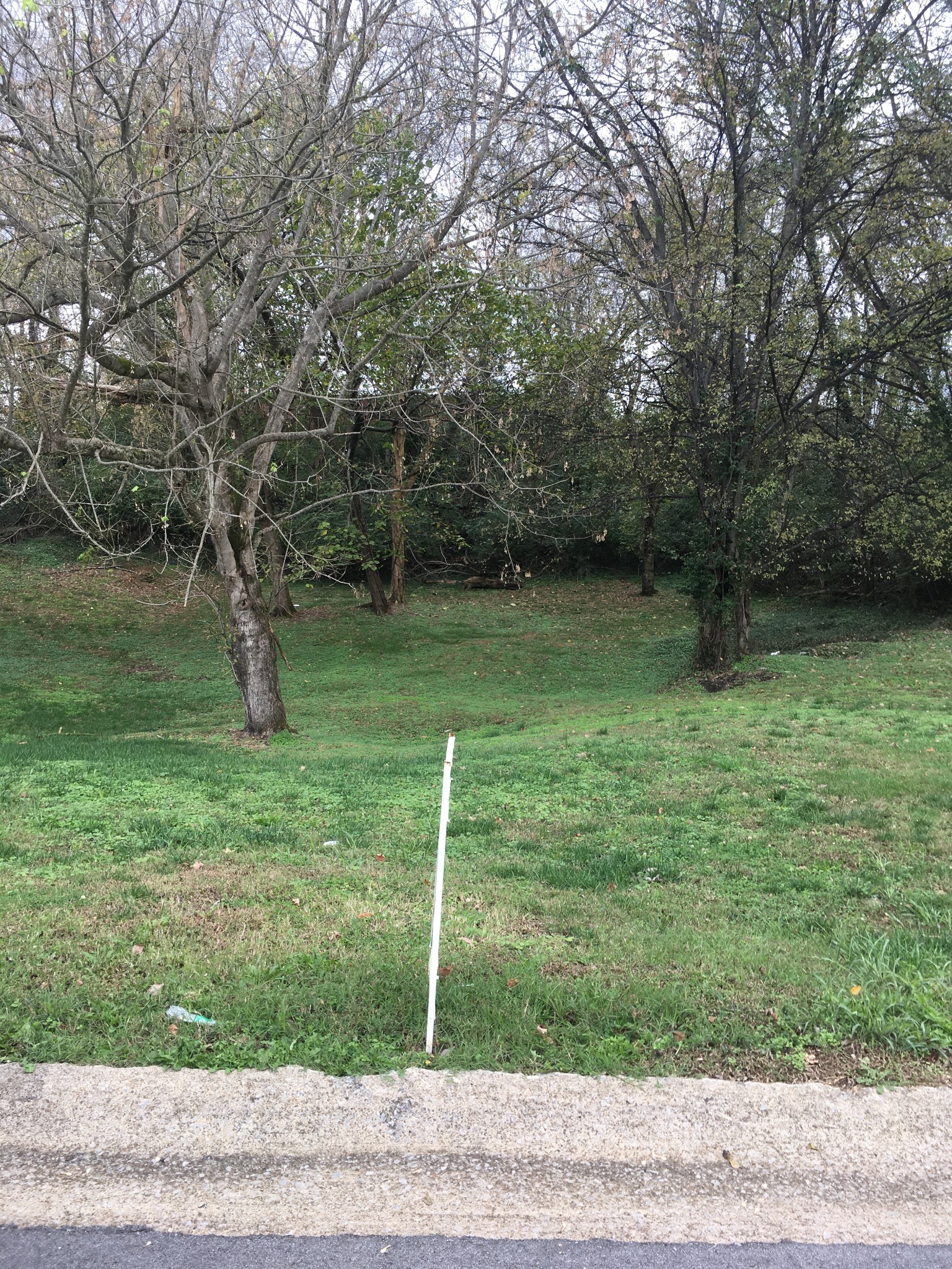 544 Ford St Property Photo 2