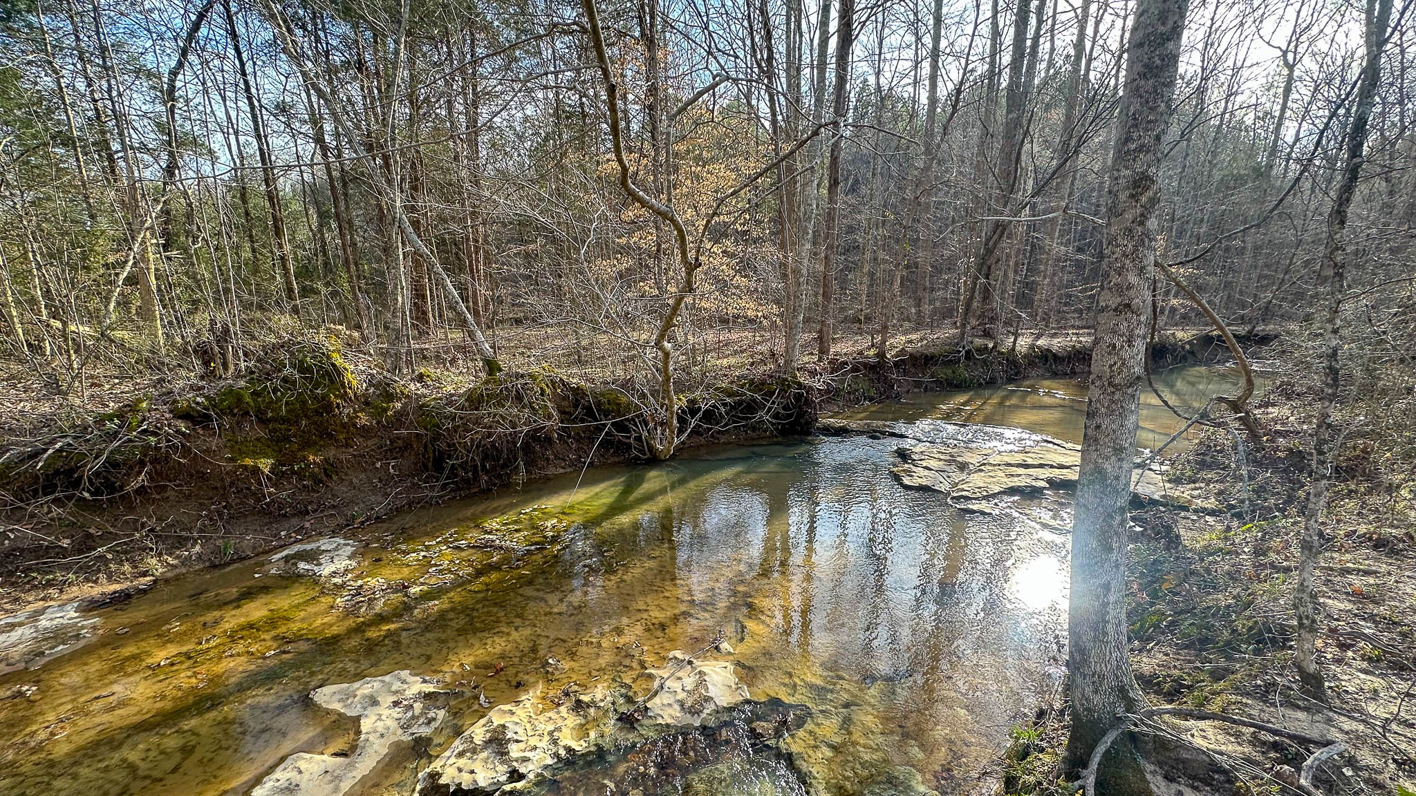 0 Jeannette Holladay Rd Property Photo