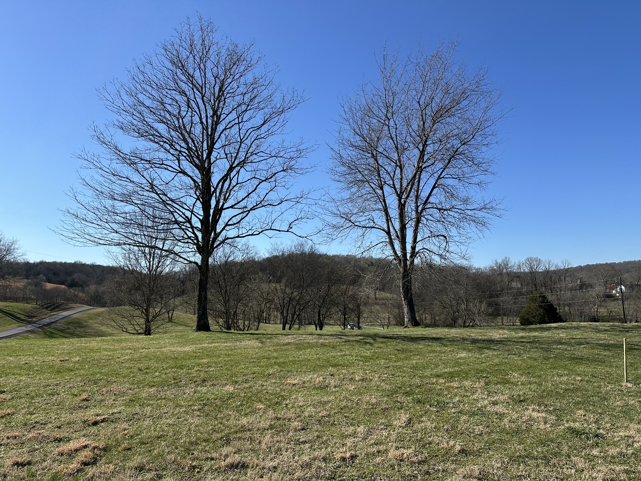 272 Ward Hollow Road Property Photo 4