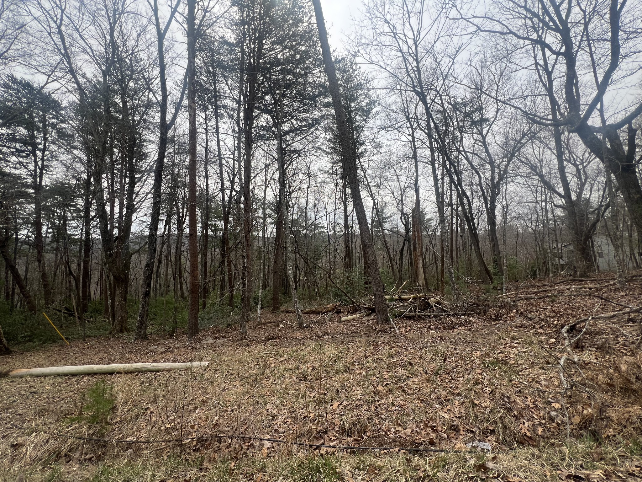 16 Lakeridge Ter Property Photo