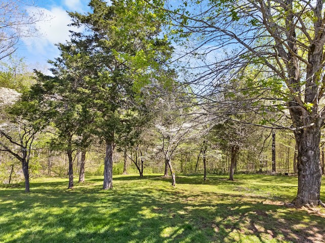 2355 Davidson Graveyard Rd Property Photo 33